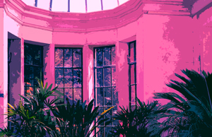 Photo of a room filled with tropical plants. Edited